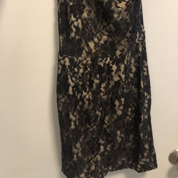 Jessica McClintock Vintage Lace Dress - Picture 5 of 5